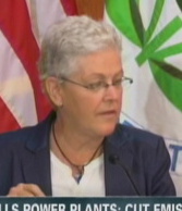 EPA-chief-capture_20140602_110758-cropped